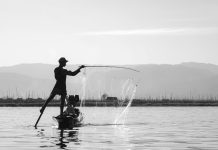 Navigating the digital seas: How to spot and evade phishing threats phishing