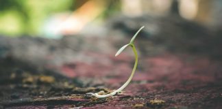 U.S. Treasury unveils principles for climate-conscious financial institutions Treasury