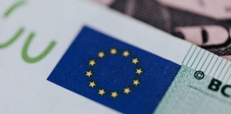 MEPs champion eco investment with first European green bond standard green