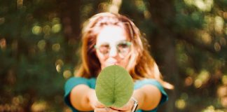 Setting a structure for sustainability reporting in your organisation CDP