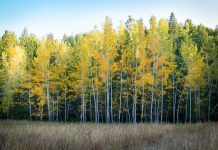 Bridging the ESG reporting divide with Position Green’s all-encompassing software