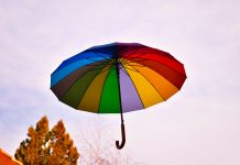 AXA UK and Synectics Solutions team up to combat insurance fraud AXA