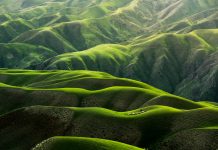 FCA’s ESG head urges finance sector to proactively tackle nature risks ESG