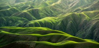 FCA’s ESG head urges finance sector to proactively tackle nature risks ESG
