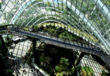 SFC and ICMA collaboration paves the way for global ESG ratings standards SFC