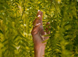 Unlocking the secrets of ESRS compliance: A guide to data management excellence ESRS