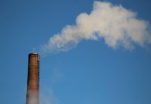 Unlocking the potential of carbon accounting for CSRD compliance Unlocking the potential of carbon accounting for CSRD compliance