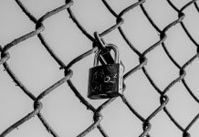 Graylog garners $39m to amplify its security product growth Graylog garners $39m to amplify its security product growth