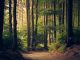 Climate change and finance: The transition from TCFD to ISSB standards Climate change and finance: The transition from TCFD to ISSB standards