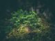 Moody’s unveils ESG-centric NZA framework for company decarbonisation evaluation Moody’s Analytics has unveiled a groundbreaking framework today—Net Zero Assessments (NZAs) designed to aid investors in evaluating and comparing companies' decarbonisation plans and actions.
