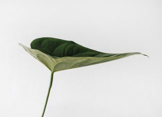 Learning the fundamentals of mastering the ESRS sustainability statement ESRS