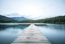 Navigating ESG compliance: 5 tips for investors and portfolio firms Navigating ESG reporting compliance: 5 tips for investors and portfolio firms
