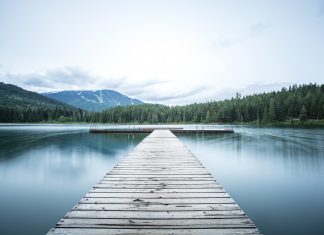 Navigating ESG compliance: 5 tips for investors and portfolio firms Navigating ESG reporting compliance: 5 tips for investors and portfolio firms