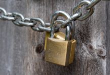BIS unveils Project Hertha program to help secure private real-time payments BIS