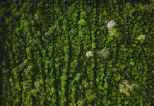 GRI unveils biodiversity standard to revolutionise corporate transparency GRI