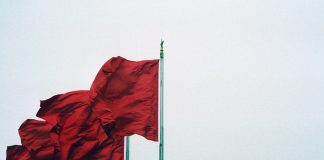 Tackling financial crime: How Moody’s is identifying shell company red flags shell