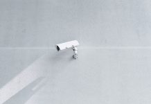 CyberTech WISe.ART secures investment from The Hashgraph Association