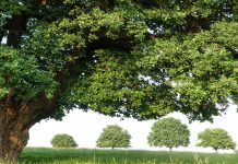 Sphera expands ESG capabilities with strategic acquisition of SupplyShift Sphera expands ESG capabilities with strategic acquisition of SupplyShift