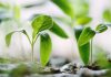 Cybersecurity innovator BreachBits secures seed funding BreachBits