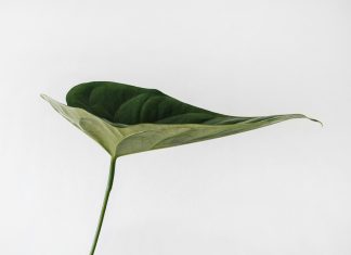 ISSB set to unveil guide aiming at unified global sustainability reporting ISSB