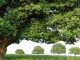 Europe sets the stage for green manufacturing revolution with net-zero industry act agreement Europe sets the stage for green manufacturing revolution with net-zero industry act agreement