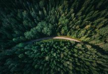 Bridging the compliance gap: A roadmap for CSRD readiness and beyond CSRD