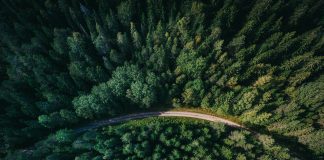 Bridging the compliance gap: A roadmap for CSRD readiness and beyond CSRD