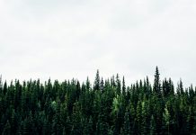 CSSB sets the stage for enhanced sustainability practices in Canada CSSB