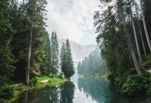 Persefoni AI unveils groundbreaking free Climate Management Platform Persefoni AI unveils groundbreaking free Climate Management Platform
