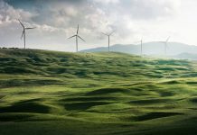 Nations rally for sustainability with ISSB standards adoption ISSB