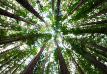 Navigating corporate reporting: How CSRD is changing the game Navigating corporate reporting: How CSRD is changing the game