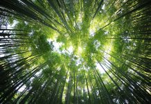 Indigita partners with Prometeia to launch ESG scoring course esg