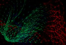 CASE merges with CyberKinetics to boost national security cloud offerings CASE