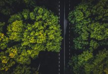 Embracing change: The guide to structuring your CSRD report effectively CSRD