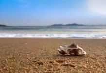 Moody’s reveals high risk of financial crime through mass shell company registrations