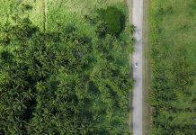 ISSB launches groundbreaking digital sustainability taxonomy