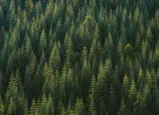 Persefoni partners with First Street to launch new climate risk solution Persefoni partners with First Street to launch new climate risk solution