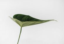 The impact of ESG on KYC and customer lifecycle management KYC