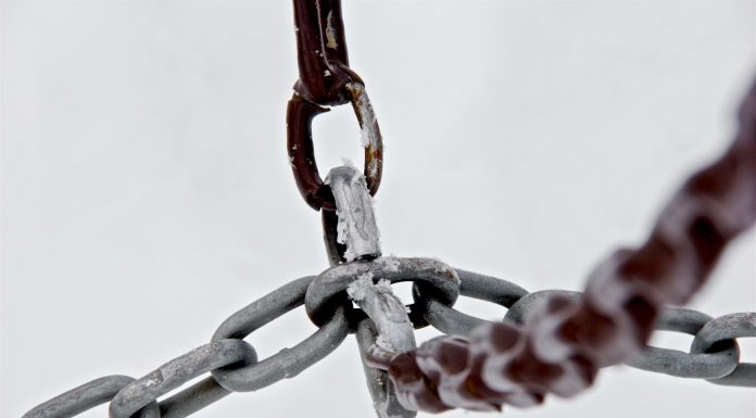 Chainguard secures $140m in Series C to bolster software security