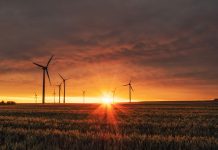 SBTi aims for net-zero with new draft standard for financial institutions