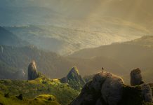 Natcap raises $10m to enhance nature-related risk management for businesses Natural Capital Research (Natcap), a nature and biodiversity intelligence company, has raised $10m in a Series A funding round.