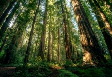 Endor Labs secures strategic investment from Citi Ventures to bolster software security Endor Labs secures strategic investment from Citi Ventures to bolster software security