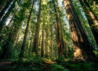 Endor Labs secures strategic investment from Citi Ventures to bolster software security Endor Labs secures strategic investment from Citi Ventures to bolster software security