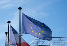 EU regulator suggests revamp in sustainable investment rules