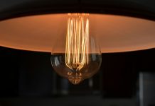 How entity verification shapes AI deployment in risk management