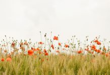 New UK law to set global standards for ESG rating agencies