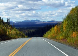 Navigating the complexities of sustainability reporting: ISSB vs ESRS standards ISSB