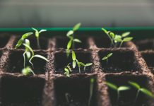 WisdomTree faces SEC scrutiny over ESG fund management