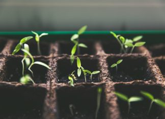 WisdomTree faces SEC scrutiny over ESG fund management