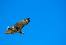 PrivacyHawk secures $3m boost to spearhead data protection innovation PrivacyHawk